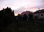 Třibřichy