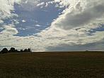 Borovina