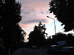 Borovina