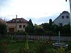 Třibřichy