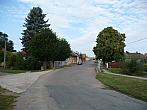 Třibřichy