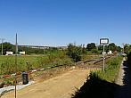 Borovina