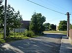 Třibřichy