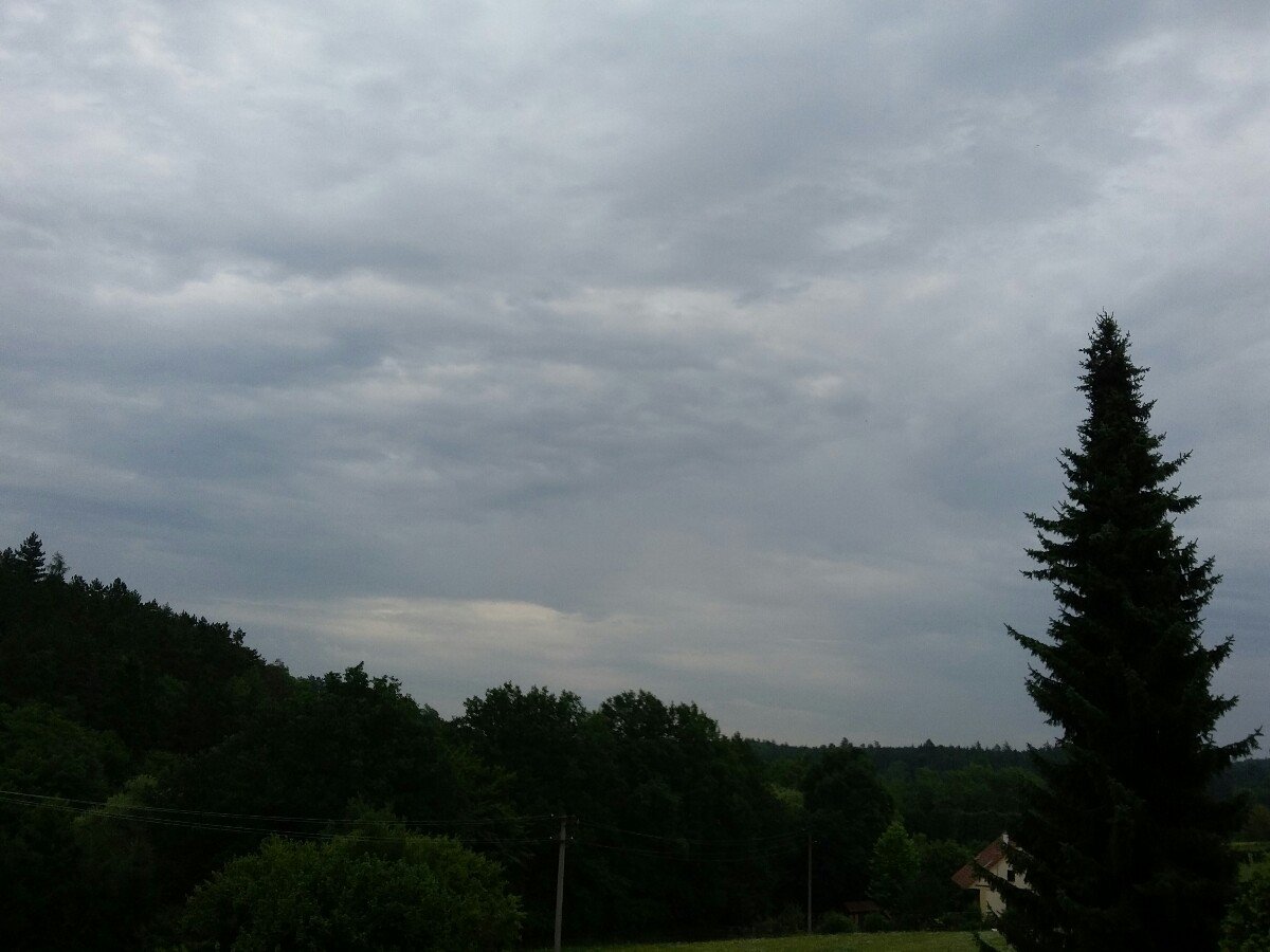 Druztová