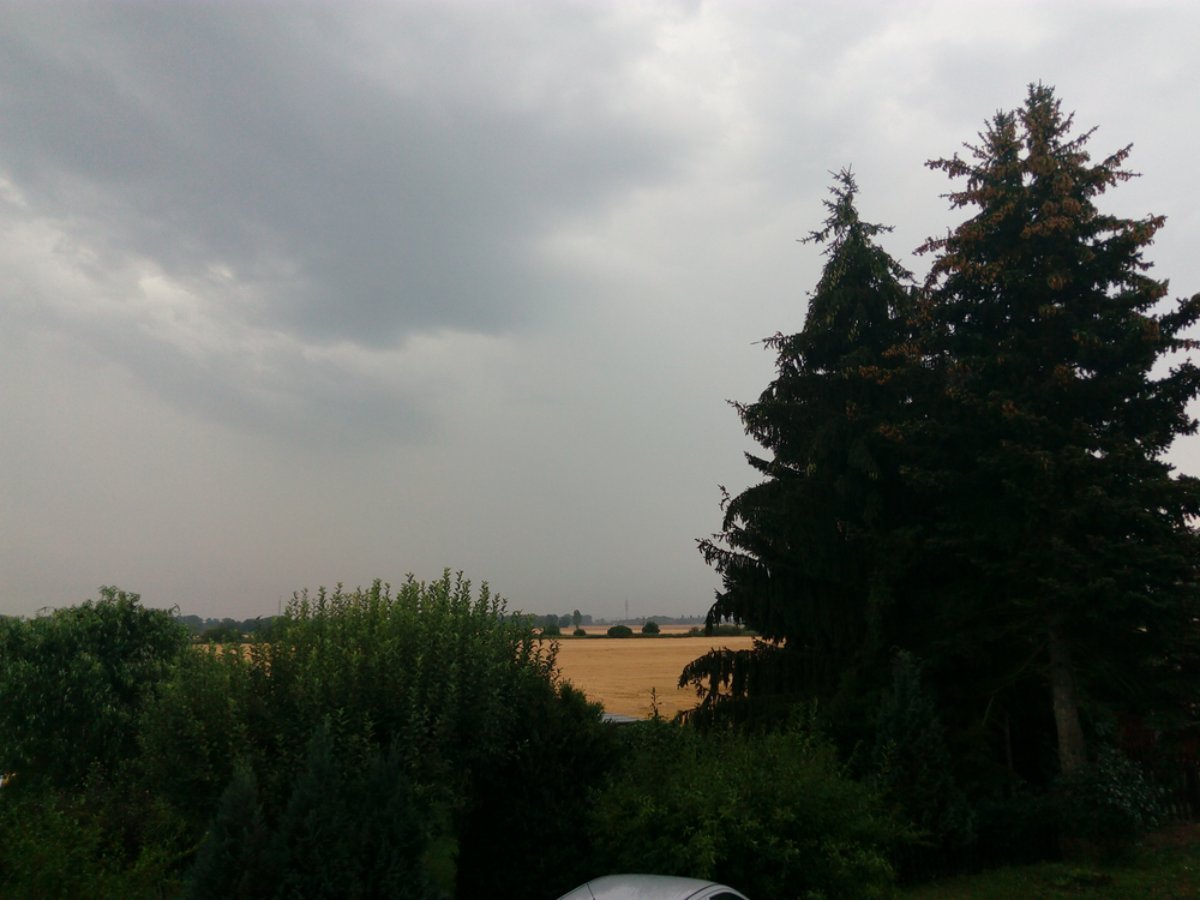 Dašice