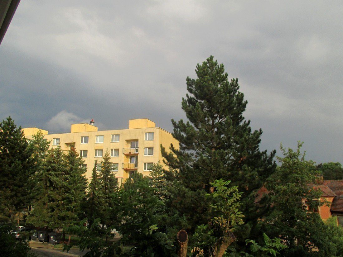 Borovina