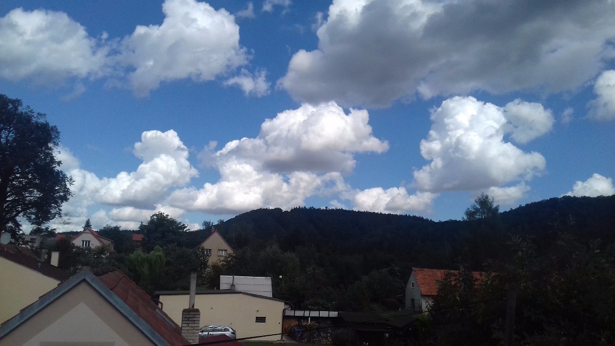 Chrustenice
