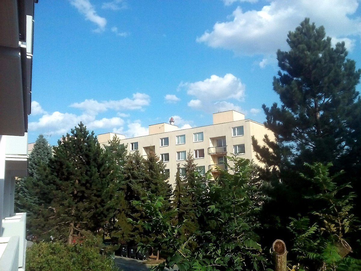 Borovina