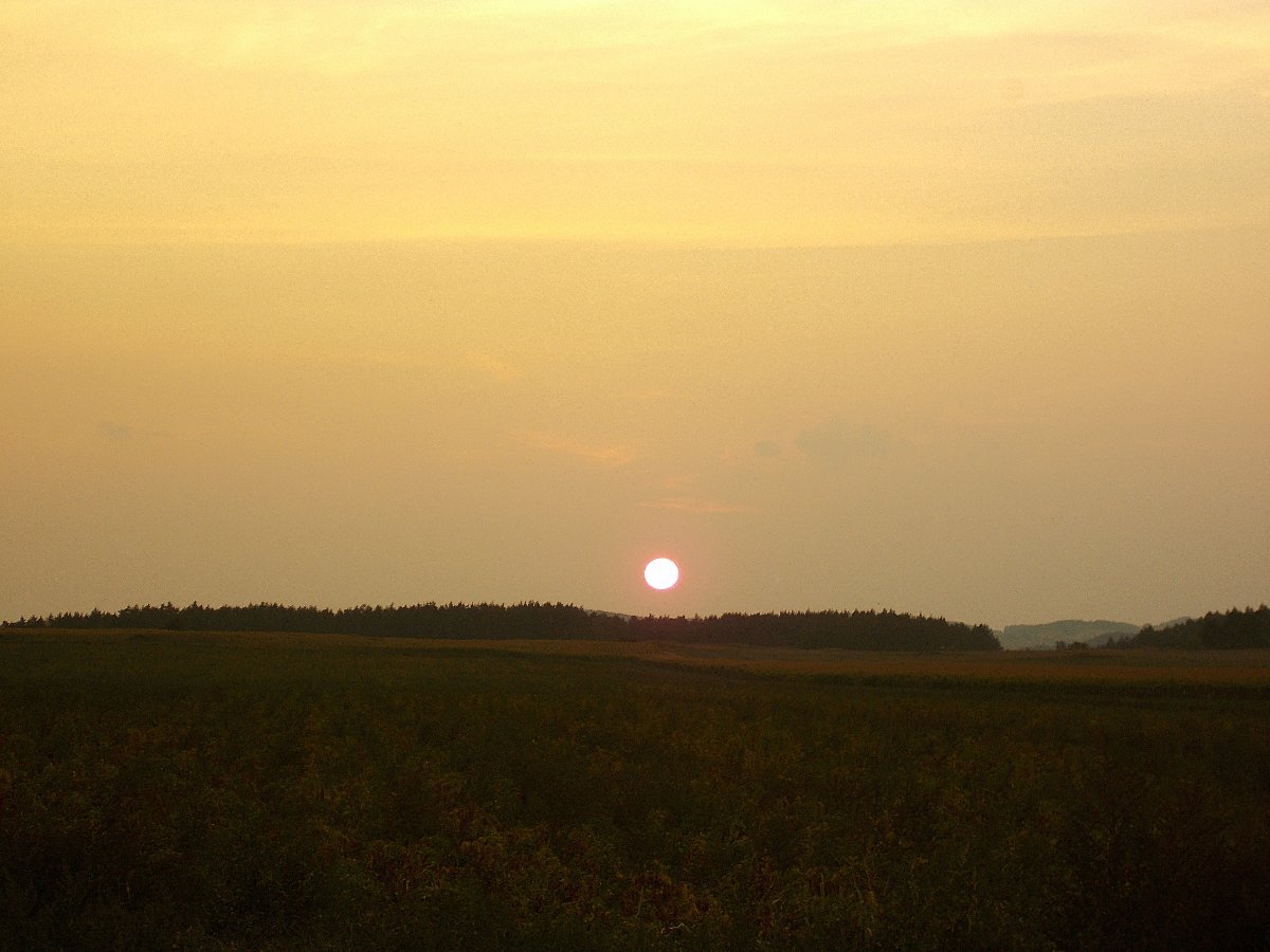 Hostákov