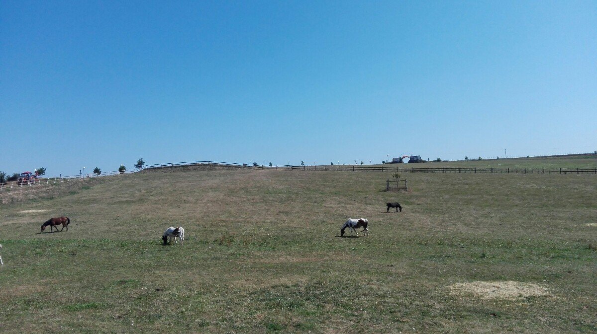 Zvole