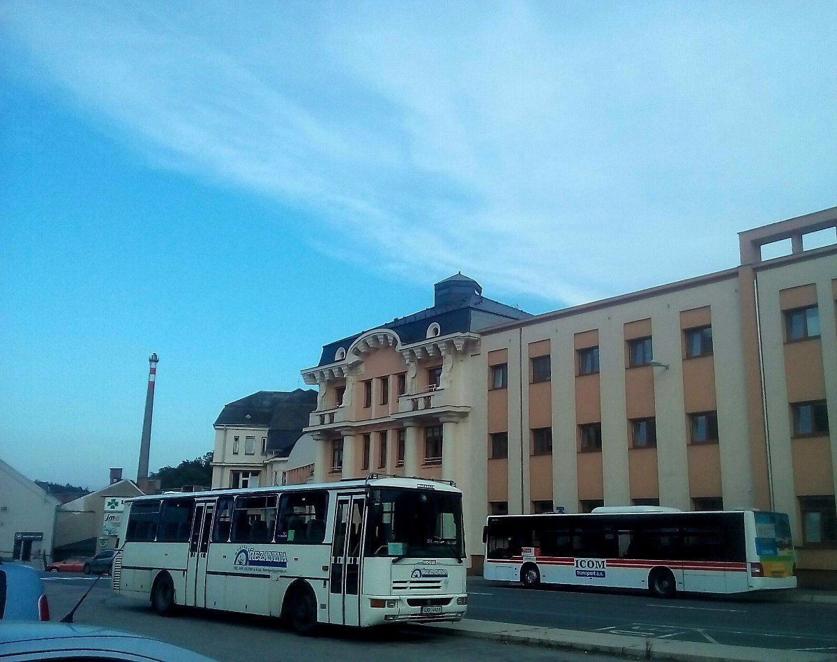 Borovina