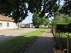 Třibřichy