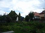 Třibřichy