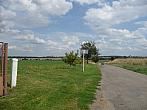 Třibřichy