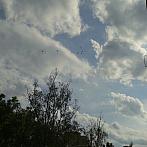 Praha-Žižkov