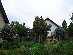 Třibřichy