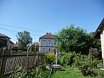 Třibřichy