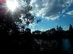 Borovina