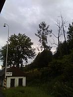 Skalité