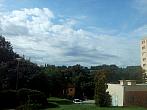 Borovina