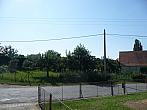 Třibřichy