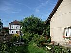 Třibřichy