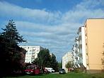 Borovina
