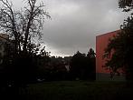 Borovina