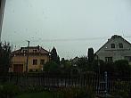 Třibřichy