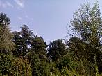 Ostrava-Poruba
