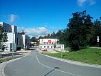 Borovina