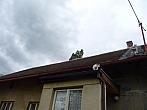 Třibřichy