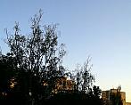 Praha-Žižkov
