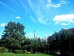 Borovina