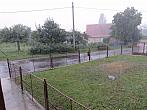Třibřichy