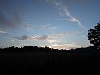 Rynoltice