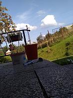 Skalité