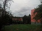 Borovina