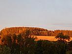 Zajíčkov