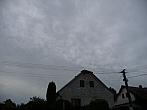 Třibřichy