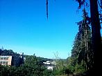 Borovina