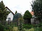 Třibřichy