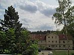 Borovina