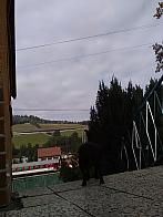 Skalité