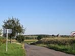 Třibřichy