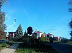 Borovina