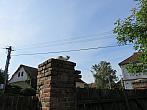 Třibřichy