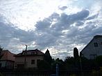 Třibřichy