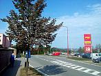 Borovina