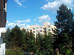 Borovina